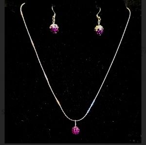 Set of Necklace and Earrings NWT